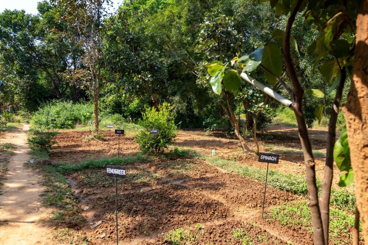 Kanha Jungle Camp Zewnętrze zdjęcie