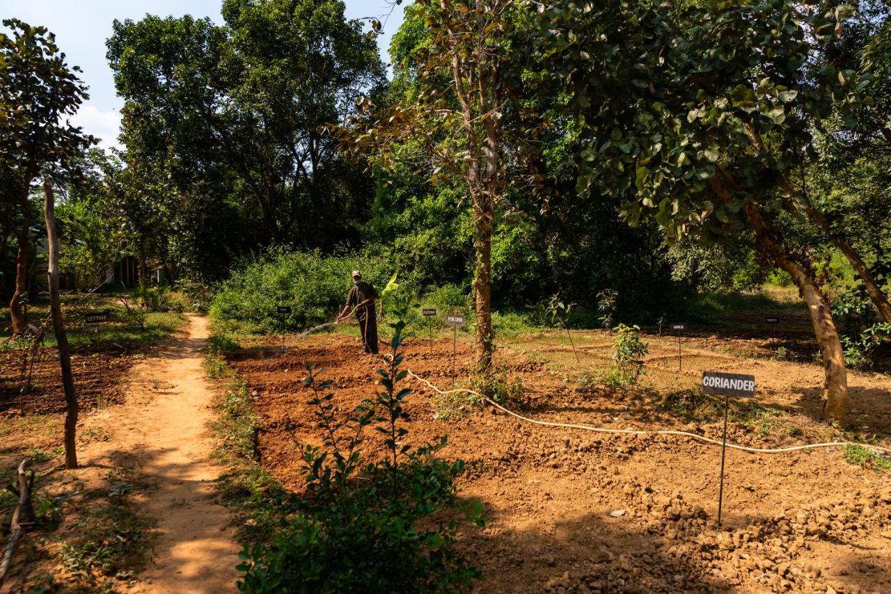 Kanha Jungle Camp Zewnętrze zdjęcie
